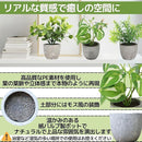 ffff1e3cffbfc205081c798c738cfffffff3e470fff08ff58b389ffefffeeedc33241e3324203c2b00000044389bab38