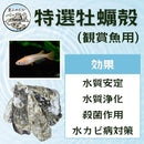 ffffffffdb84cfffffc9c1ffc1ffc118c100ffc7d3ffe3e7c9ff81cfc3fff3ff8e8b8e8a8f8f908c8b098d8d893c0000