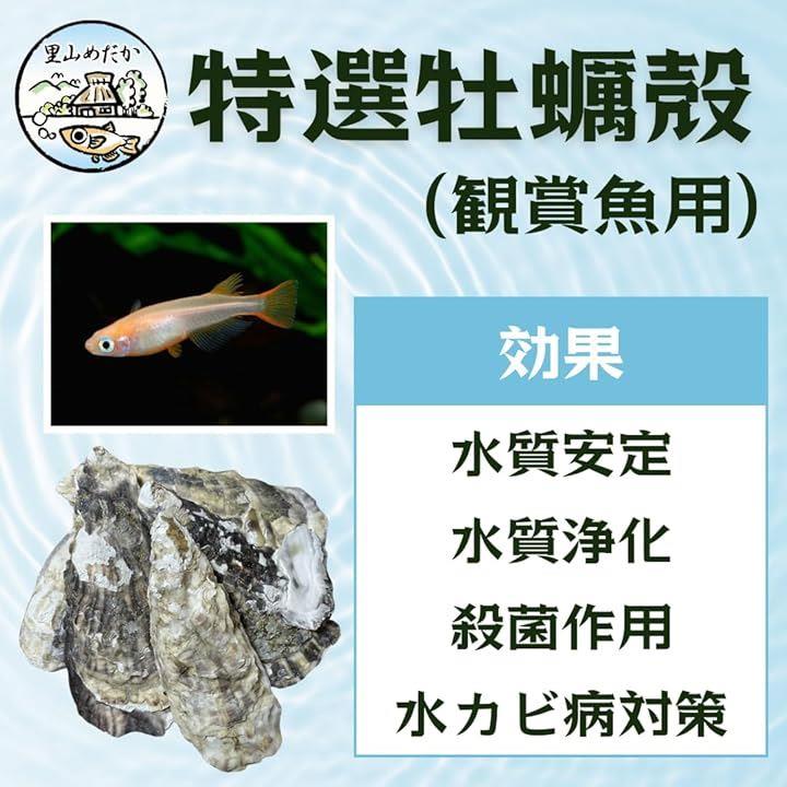 ffffffffdb84cfffffc9c1ffc1ffc118c100ffc7d3ffe3e7c9ff81cfc3fff3ff8e8b8e8a8f8f908c8b098d8d893c0000