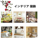 ffff97fffbffe77bffffffffafa6c36080228000ffffffff82c0838092409260