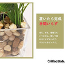 ffffffff03ff07ff03810387038113811381038103a90381038107ff8ffffff5000000003a3a2b2715122b2716272b27