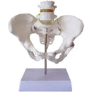 ff3ffe3fee3f80078004800dc63be673f6c7f80ffe1ffe7ff00fe007e007fc07