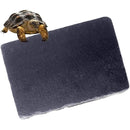 ffffffffefff87e38201e0018001800180008000c000c000c003c05fe3ffffff000000000015aeae00aeaeae00aeaeae