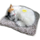 ffffffffff3ff7f7e3dbe47cc07cc03c401c69888001f801fe01ff81fffbffff000000000016479212b26b5e0000f2de