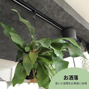 003f081f108f0003044100002200109c01c002378215e2afe077e07fe877ee4124eb1e203c2b331a22403f47203e4140