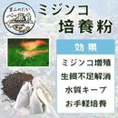 ffffffdfe5bfafa69fa6ffffc914c100c1ffc1ff8fc387ff9bbf92ffe3f1f9ff969592939a86904e6b4d00009fca0035