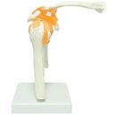 fffffffffa01e0fde0ffe0ffe1fff1fff1fff3fff3ff803f803f003fffffffff