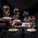 00000000000030002180321022a03902bd3a0798e43f1bf8017e0f9f01000000