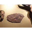 ffa1ff81ffc0fff07ff87ffc3ffc301c200c201c201e001e081e000000000000