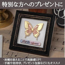 00001c3200001000044003e013f8f7f8e7f5a7f187e1e363e003d607d5770000fcfcfcfc1800f51c12c713091c001200