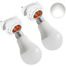 ffffffffff7bfcb5fcbfe63bc39f938ff3c3f9c7f8c3f863f83ffc3ffc3fffff000000000000f52b00ce000000000000