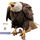 fffffffff1bffb8fe08fe007e007e007e007f803e803f801fd0fe03fff3fffff00000000000e1c80001712eb00000d00