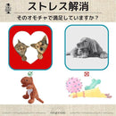 952f1e95ade7ef74c0fffebee8a2cc80ccbcc0bff7ffe7fbf7f3f3faf5ff3e7c1c1c181f000000000000000000110075