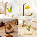 ffffefffdfff5bd7dbd753df1fd5ffffffff00e700df00cb00f100fa40feb0f32bab00201c142b212b1580d511112b24