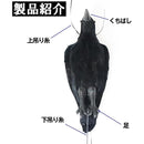 ffff83ffffbfff3ffb3ffe1ffe0ffe0ffe1ffe1ffe1fff1fff3ff32fffbbffff000000000000a2000000920000009000