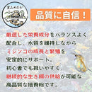 ffffbfffe5c4cdec9ffefffffc3fffdbfffefa0cf9f4ff70fc0dfaf7df3ad8fe969592939a8c932b6b932ba5978b4892