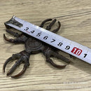 7fbfe7fffff7fbef8c1f9b0f87d780fff03ef00dc3028320cbc4d13d3bffffff1c1d1c1d1ca11f1f1a2000a22221211c