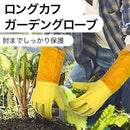 ffc8edf9fff9e518fea8b9c7dd008440e440c240c00807fc4efc6e18881700290000001f2426ab211c353aa21b262e24