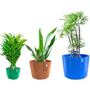 fffffffffffffff0fff7ffd1dfa1c7f983388c79ce70fc30cc70cc70ffffffff