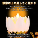 00003eb8000001c007c007e007e007f81ff81ff81ff81ff81ff80ff80be100002b0000002b1a1a1c2b090c022b090e10