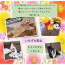 9fdcfd3eee56fffe9fee2060182280e3c021c13efffc13f113f07ff55ff12f3f1401f2332446464626141011020e461c