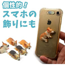 ffffffffffff9d40ddc0ffc09340f741ffc0ffc0cfc1a08032802980e780ffc0