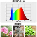 ffffffffff7fff7ffb3ffa1ff81ff81ff80fffffff3f8400f058b020b8408104