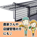 fffffde6fe245710f7a9fff0fee8ffd0fc04fe19ddddcf8fc9e8c9beffeeffef