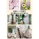 efefff8fff81ff81ffdfefdfa001e019a019c21983ff80fb88f78803cc019701