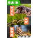 00005100003f3f0e3f093f0c3a078000002e08be800e07303ff838b83c6f3fbf