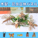 ffffcd9ecdd8ffff01a00fe0f7c7e90fe0abde07f940fe60ffffffff93fddbe7