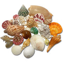 fffffffffffffd0ff807f483c20b8030c100c02090609038c0b1fd8bfb7ffe7f