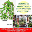 ffffe3fff1dfdeffd2ffd1ffb3ffe8ff88a2a826ce24fe02f800fe0080008430