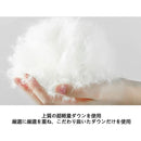 fffffffffffffffffffffffffffffffdffe2d76162001a000000fffff84fd339