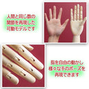 ffffff02ff06d304d106df04ff02ff02ffffa07f967f8b5b954d8d73967f807f