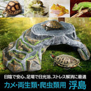 fff8effb9eebfffc7fdf3f0d4dfa1fcc2307bb000f780b0c9300000000000670