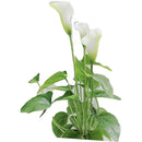 fffffdfffdfffeffffefff8fff0fff1fd907e203c403860f0c03f801f801f801