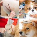 ffe0bf813f9777fe67c2479d06df0cae00ff0cfe0cf81fed5af0f4c65826212e