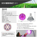 0003100f00000000dfff9fffffbfff8f80fbffffffffd7ffdfffff9eff0cfb18