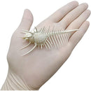 fffffffffff1fbc1fb81f301f001e403e043c007c00fc00fc01fc03fc07f80ff