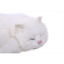 ffffffffffff7fbf3d1f001f000f000f000f000f000f000f001f001f007f03ff