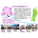 ffffffffff4dff3cfc94e5fceffdfc39fff9ffffffff00e000000000a569ffbf