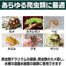 00000024ffffffffc001c001800bfe7ffc39ce31cc31dfffffffffff9e0d8003