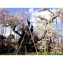 fffffffffff7ff7fffffffffeffff8fff4ff78ff183f10370037007700170057