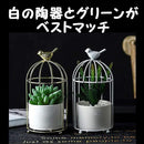 00007fee0fd007b0000200620c6212f210f81ce01e801ef87ff87ef01cf07c00