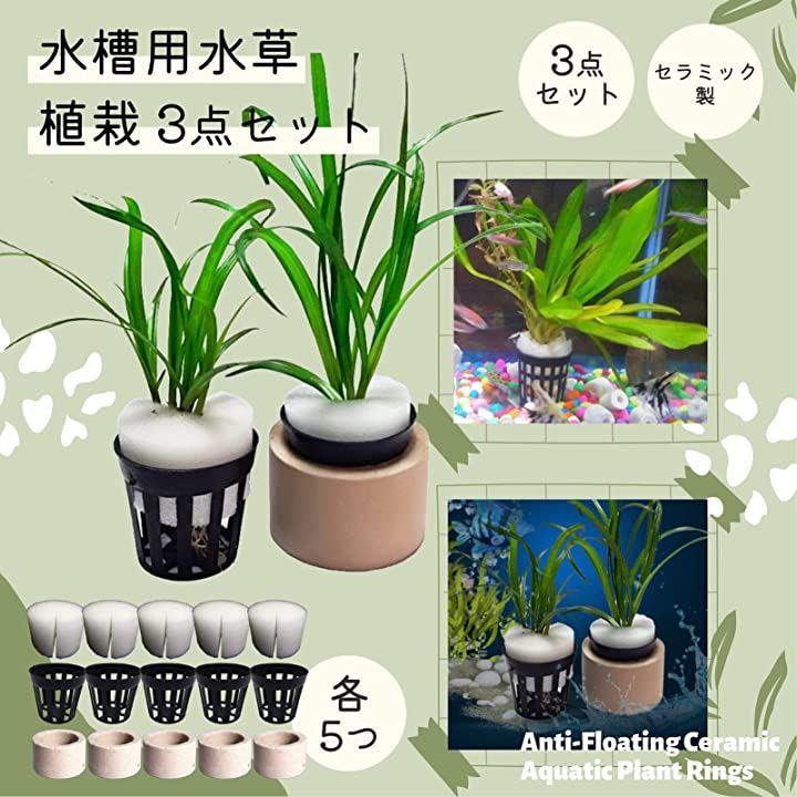 水槽用 水草 固定リング 植栽カップ 植栽スポンジ 水草植栽3点セット