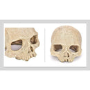 fffffffffc3bfe3dfe7dfe7ffe7ffe7ffe7dfc7dfc7dfe7dba7dfe3bffffffff