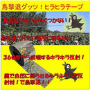 ffffbd87817f80ff807980758512c4c4c9ffebff86a7f1e7f973e433f07bffff