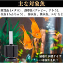 00000000ffffffffffff009c005c00cc125411761156135401960014011022120000000000000000726e843217bc1784