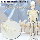 ffa883f6aa260ba40445041e0c07080b182b7efc7f3e7fcd4fcc7fe8ff7cdeff